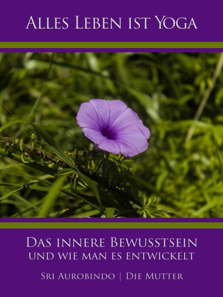 Das innere Bewusstsein und wie man es entwickelt main product photo