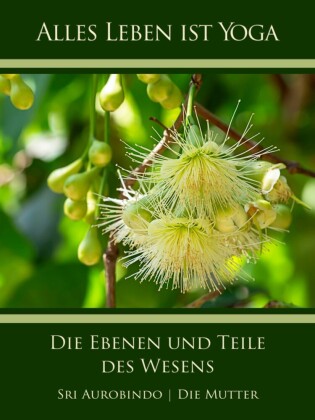 Die Ebenen und Teile des Wesens