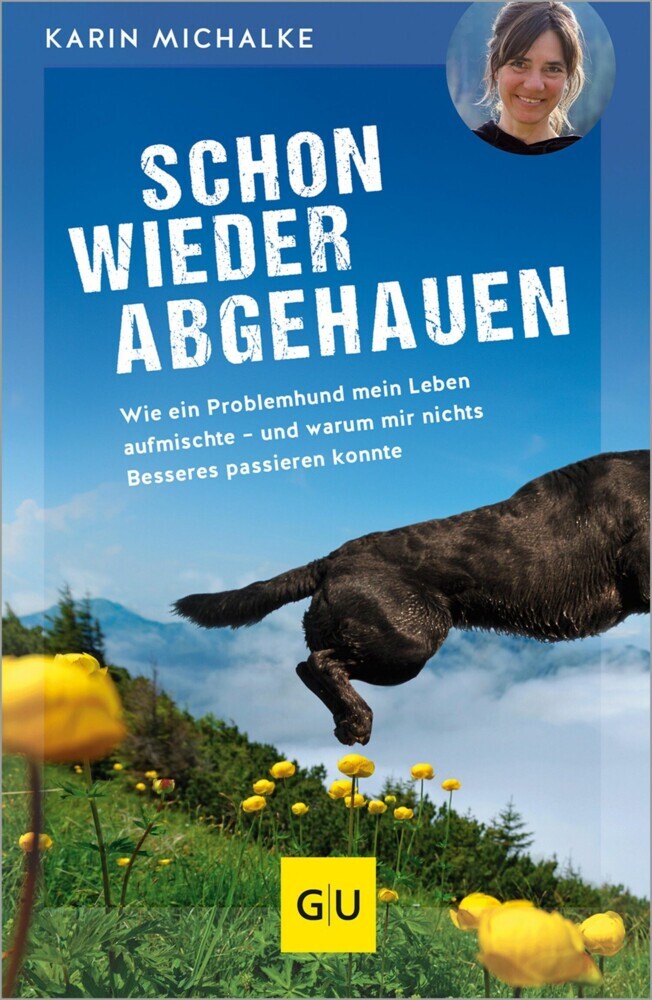 Schon wieder abgehauen main product photo