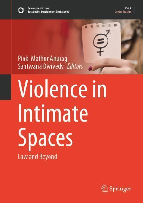 Violence in Intimate Spaces main product photo