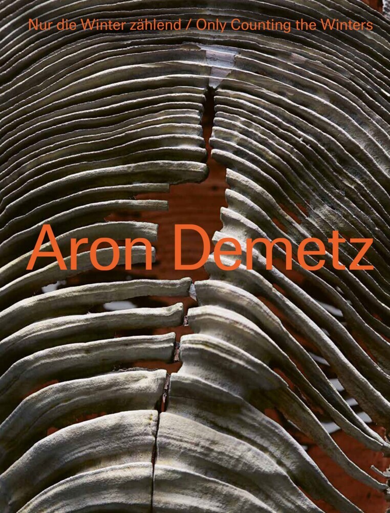 Aron Demetz main product photo