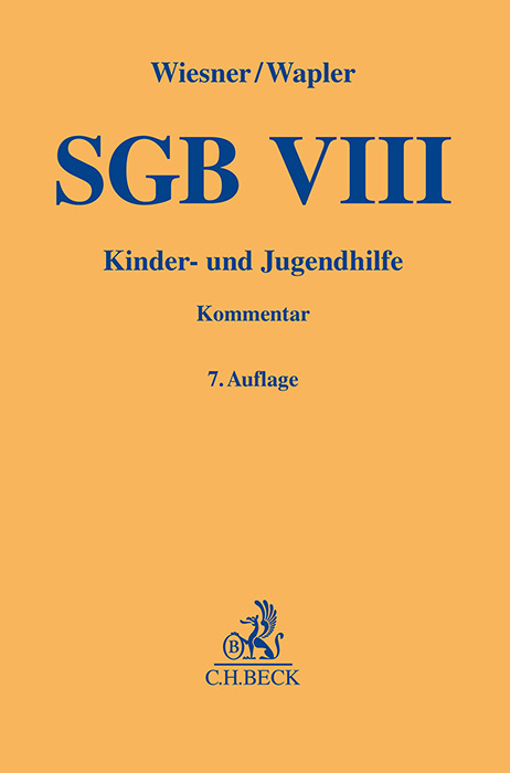 SGB VIII main product photo