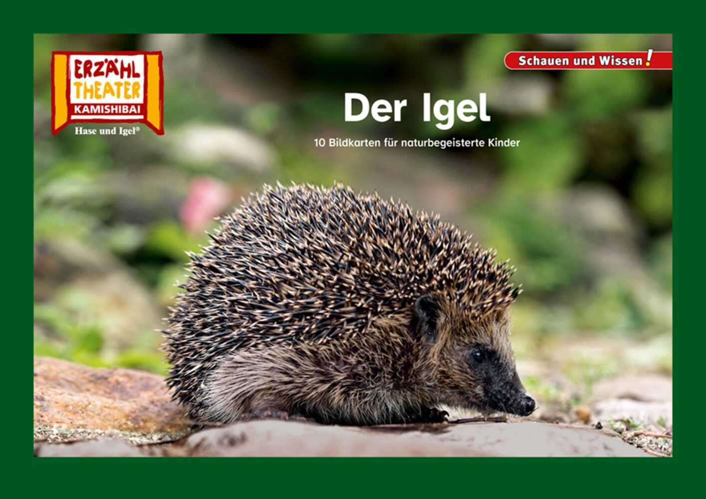 Der Igel / Kamishibai Bildkarten main product photo