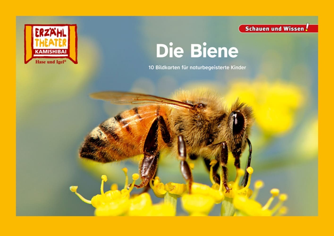 Die Biene / Kamishibai Bildkarten main product photo