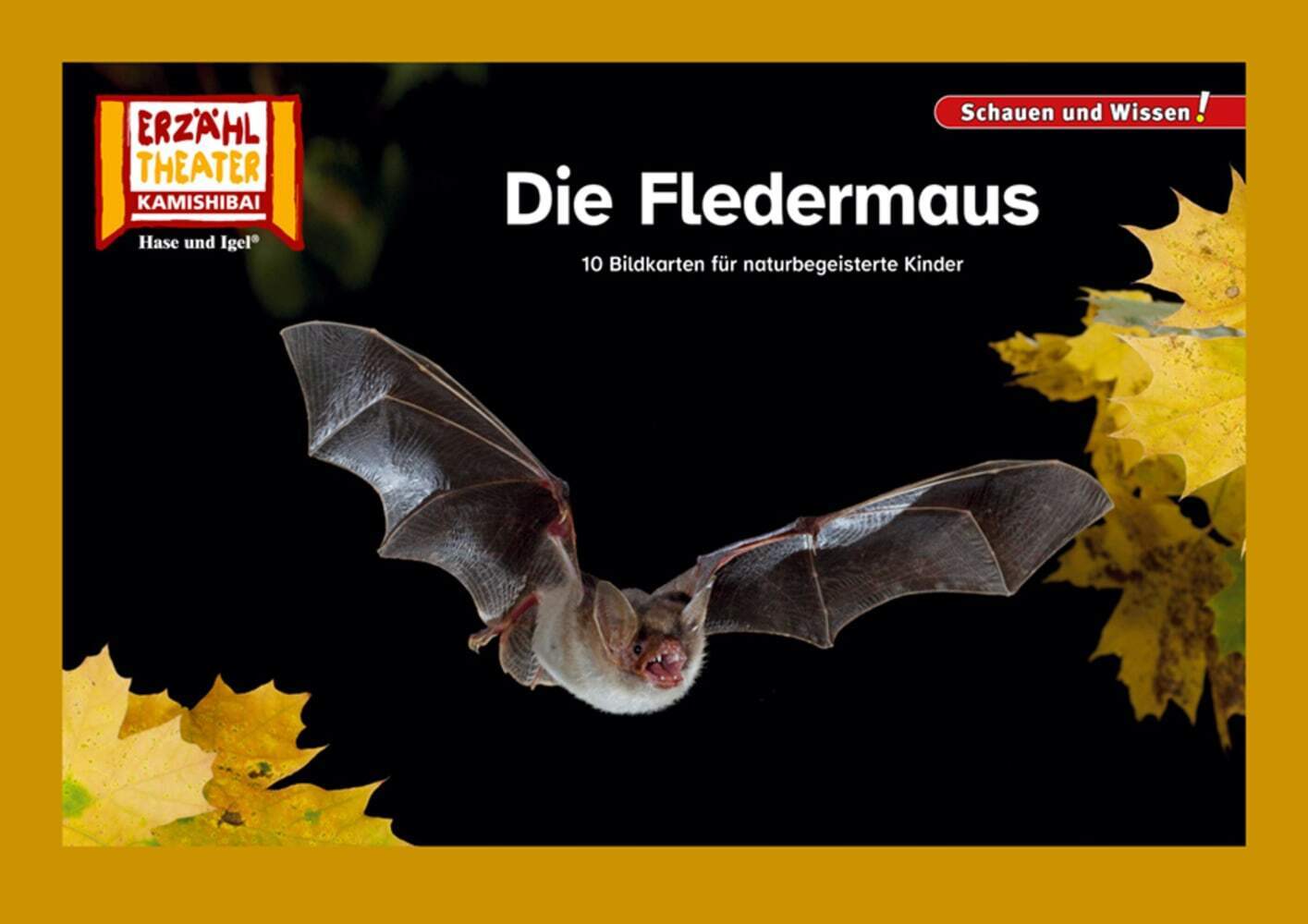 Die Fledermaus / Kamishibai Bildkarten main product photo