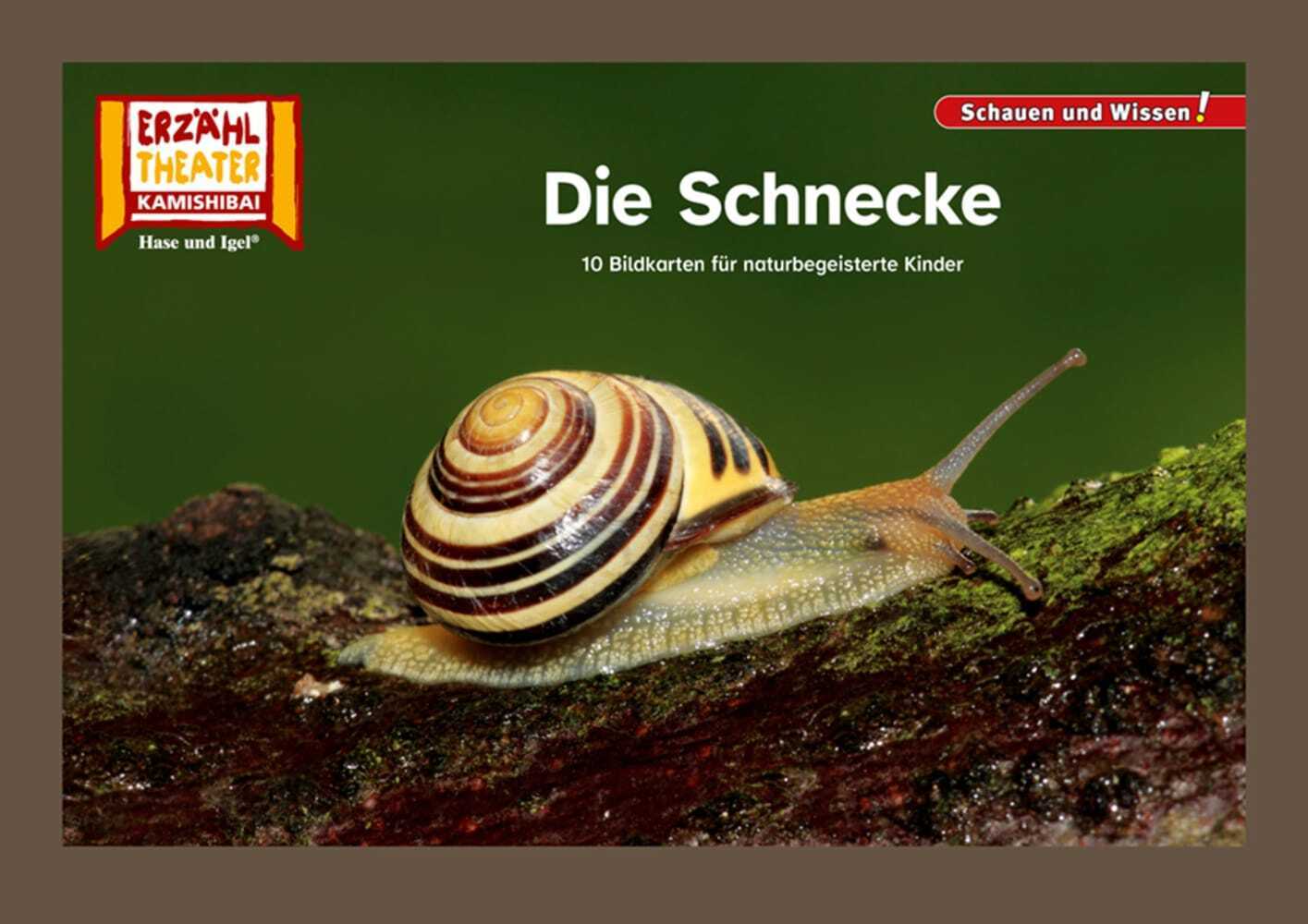 Die Schnecke / Kamishibai Bildkarten main product photo