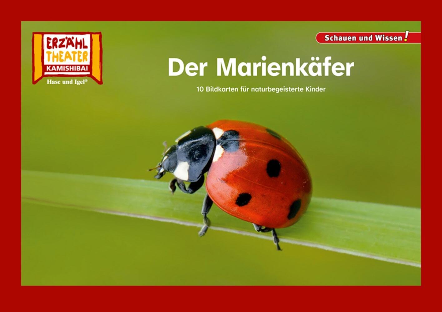 Der Marienkäfer / Kamishibai Bildkarten main product photo