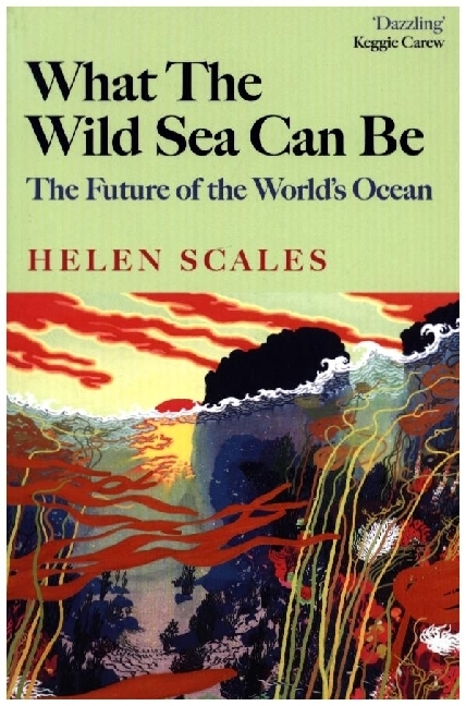 What the Wild Sea Can Be main product photo