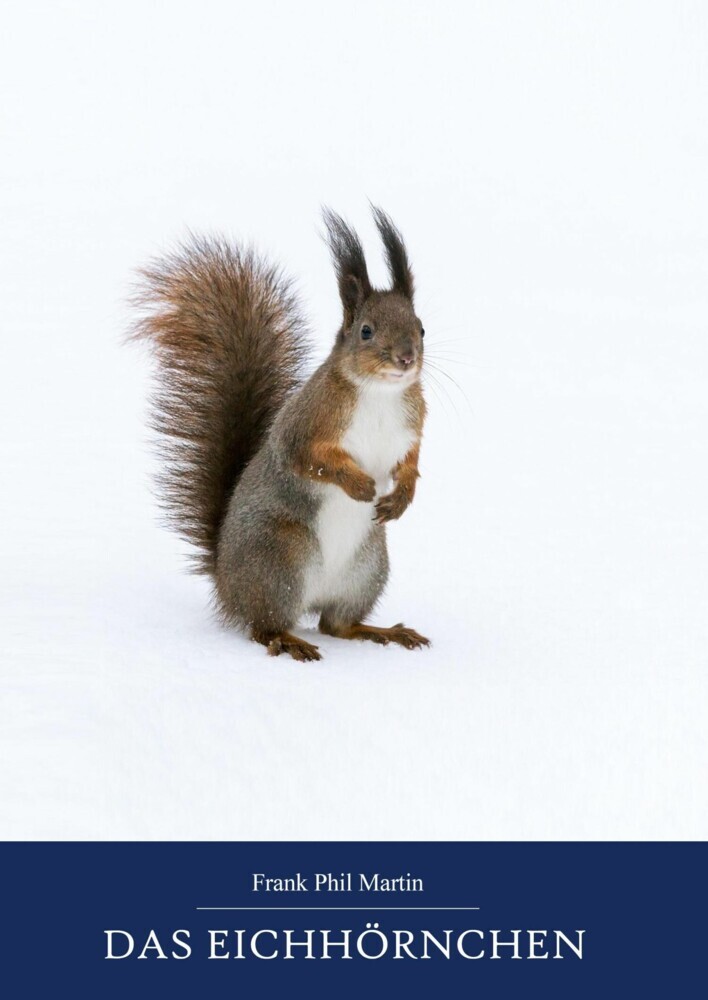 Das Eichhörnchen main product photo