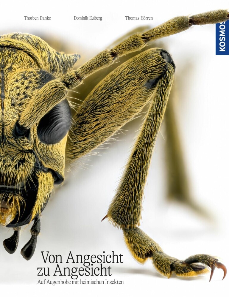 Von Angesicht zu Angesicht main product photo