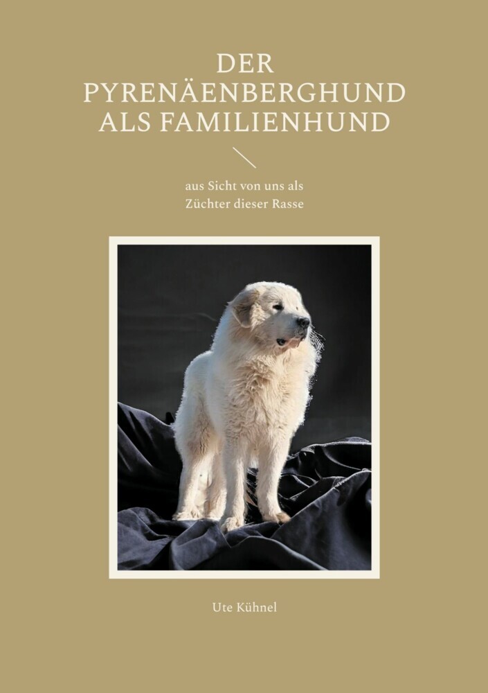 Der Pyrenäenberghund als Familienhund main product photo