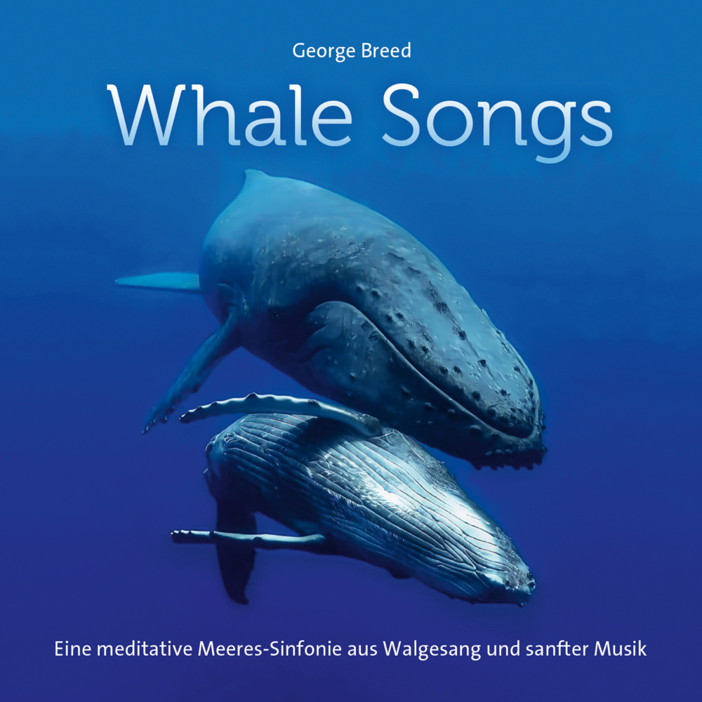 Whale Songs main product photo
