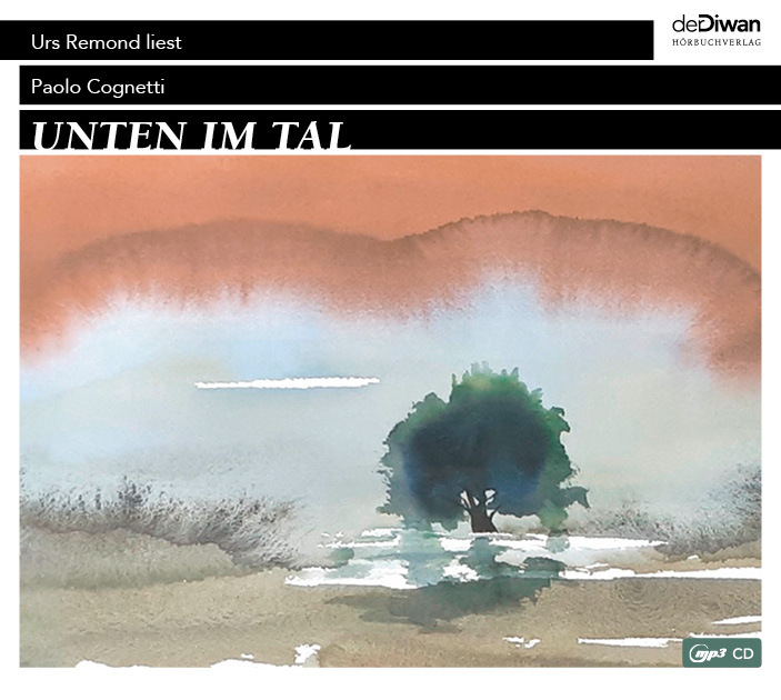 Unten im Tal, 1 Audio-CD, MP3 main product photo