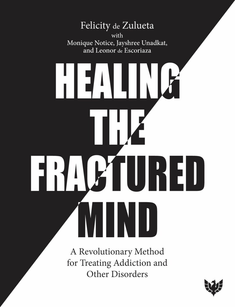 Healing the Fractured Mind main product photo