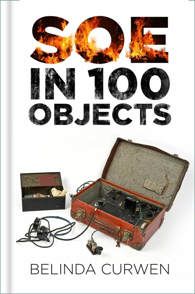 SOE in 100 Objects main product photo