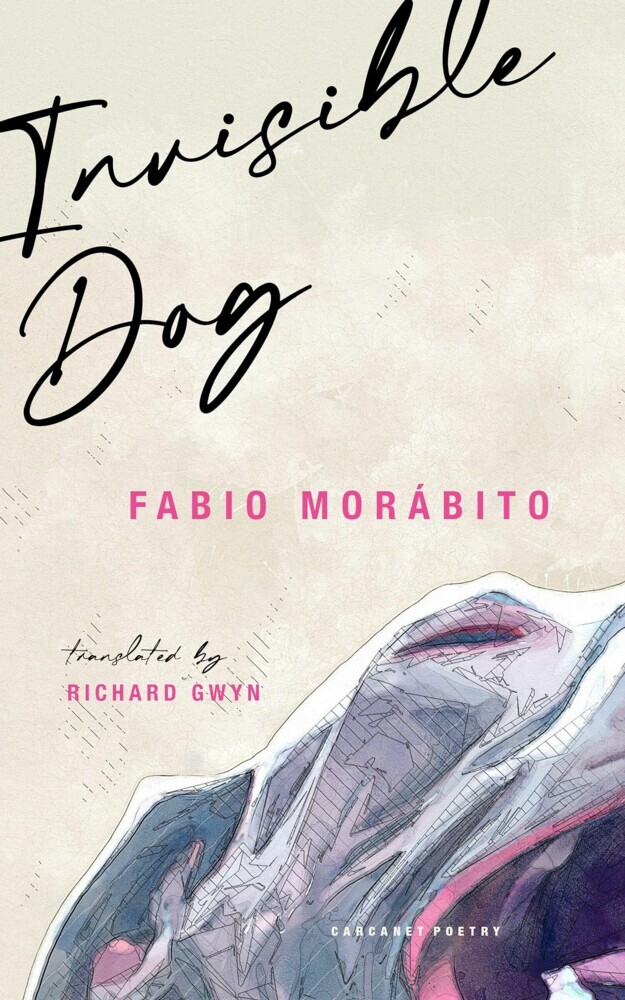 Invisible Dog main product photo