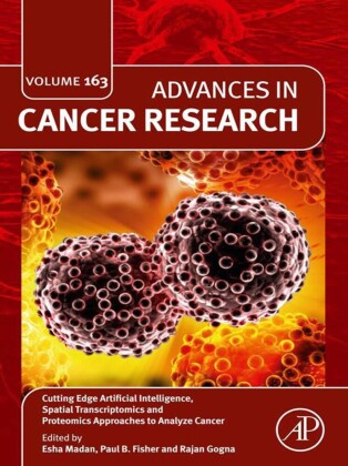 Cutting Edge Artificial Intelligence, Spatial Transcriptomics and Proteomics Approaches to Analyze Cancer