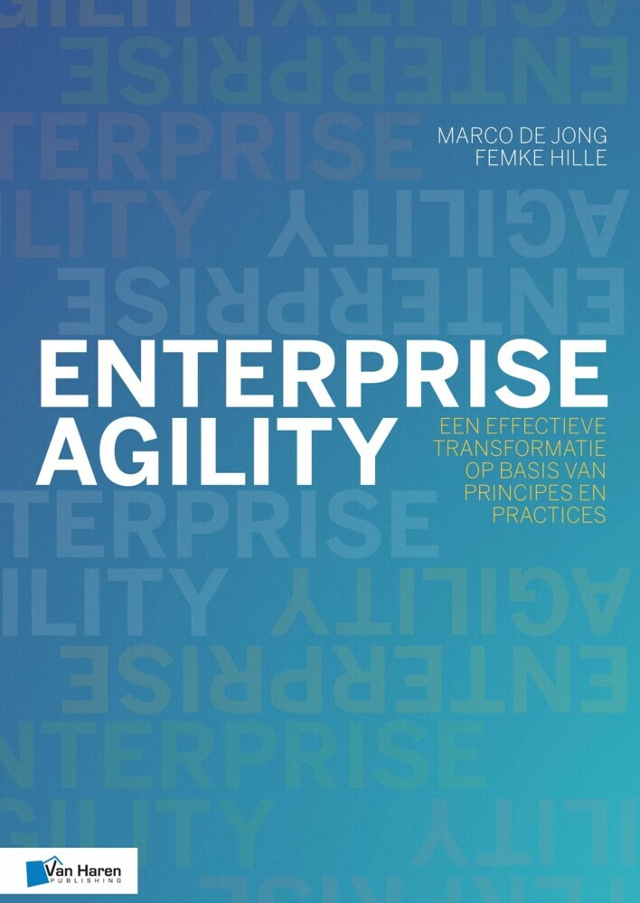 Enterprise Agility main product photo