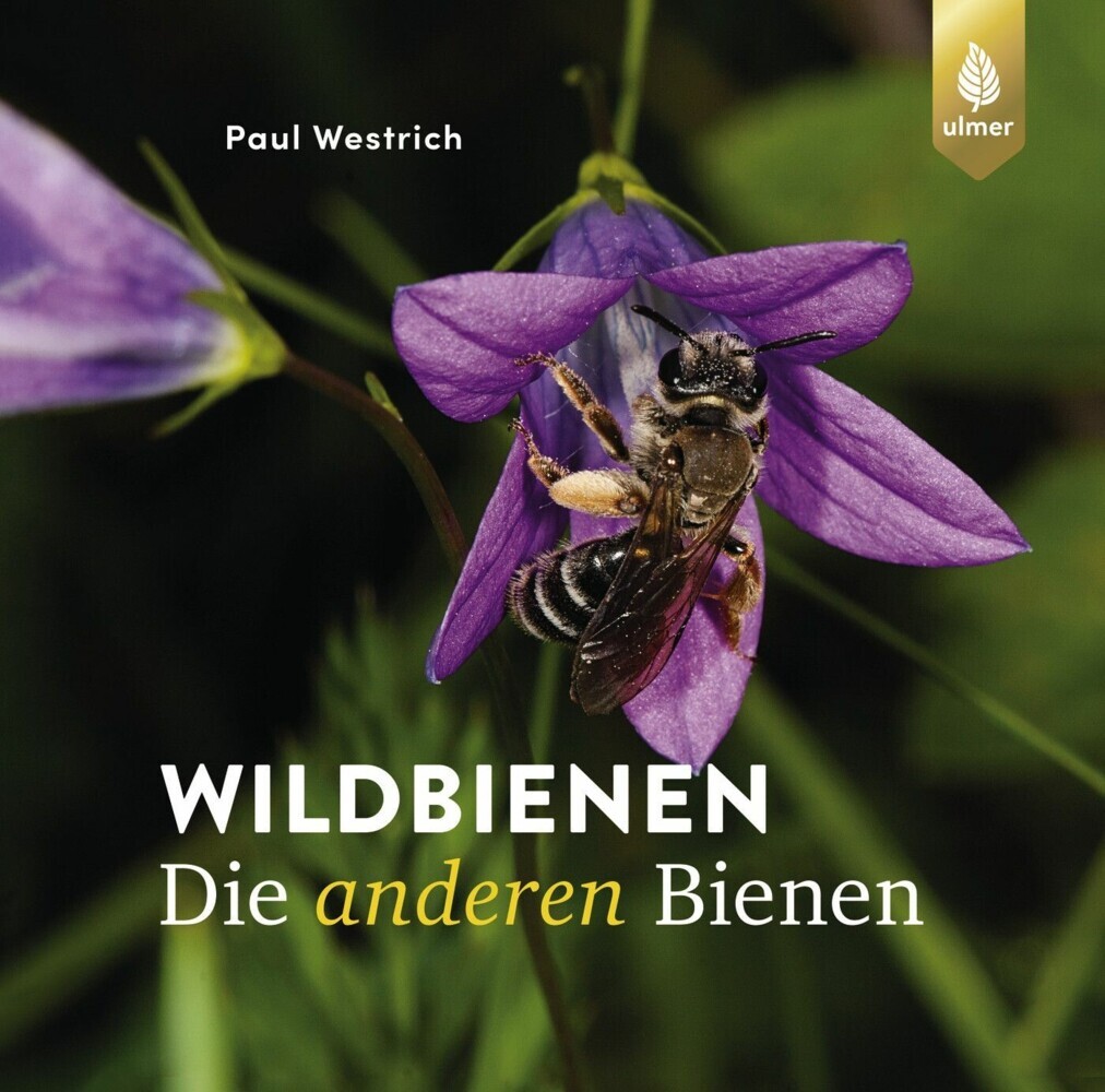 Wildbienen, die anderen Bienen main product photo