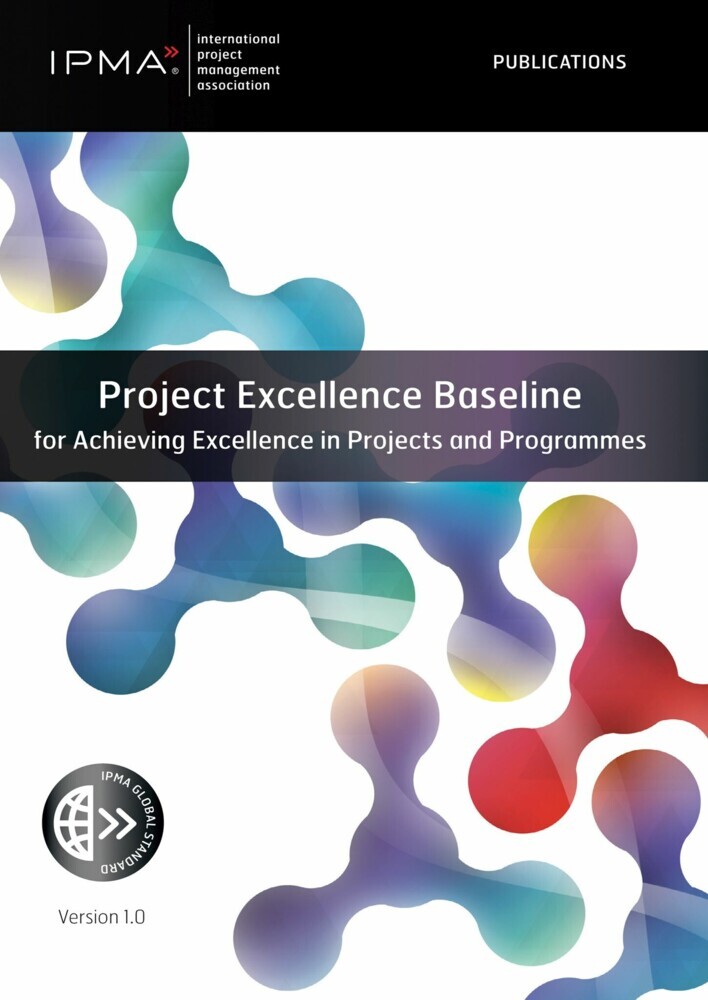 Project Excellence Baseline for Achieving Excellence in Projects and Programmes main product photo