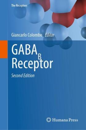 GABAB Receptor