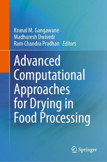 Advanced Computational Approaches for Drying in Food Processing main product photo