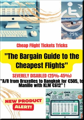 'The Bargain Guide to the Cheapest Flights'. Severely disabled (25%-45%)