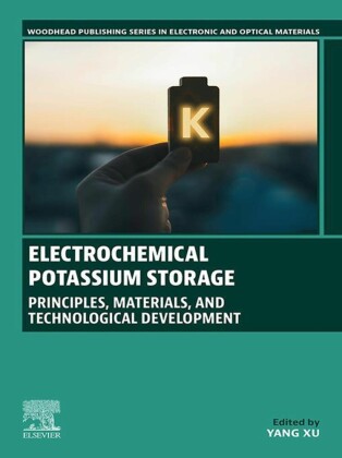 Electrochemical Potassium Storage