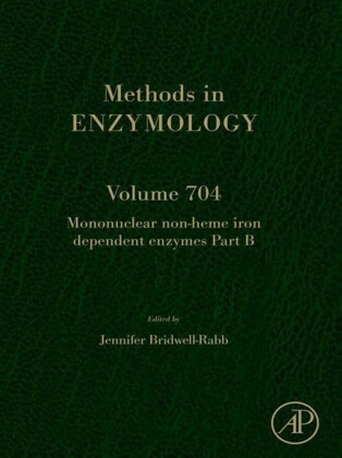 Mononuclear Non-heme Iron Dependent Enzymes Part B