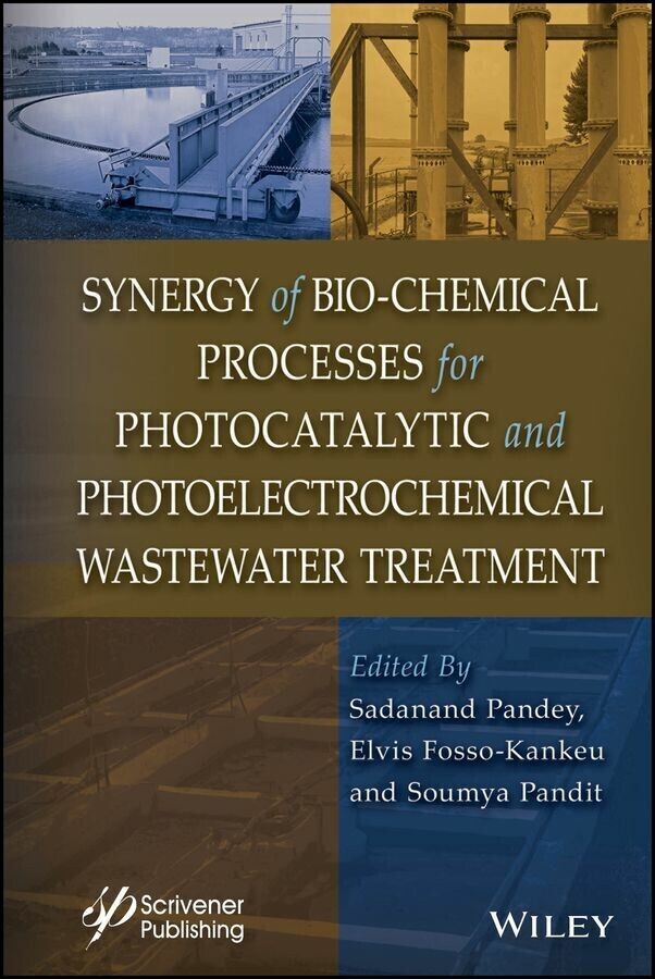 Synergy of Bio-Chemical Processes for Photocatalytic and Photoelectrochemical Wastewater Treatment main product photo