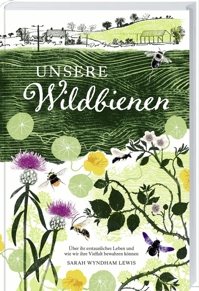 Unsere Wildbienen main product photo