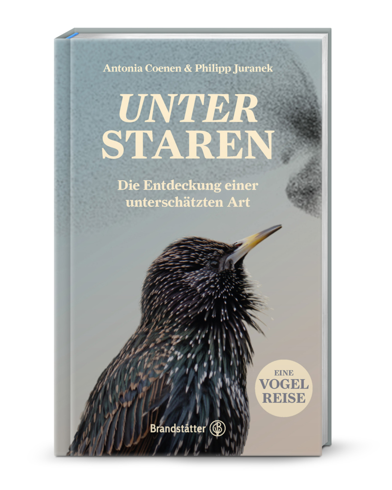 Unter Staren main product photo