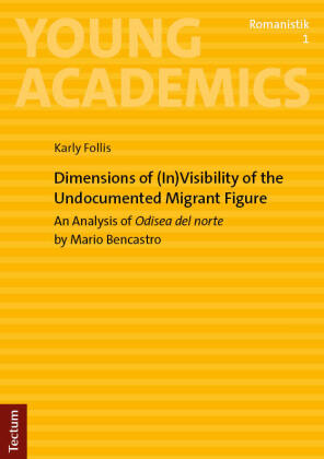 Dimensions of (In)Visibility of the Undocumented Migrant Figure
