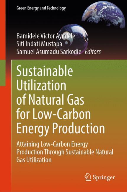 Sustainable Utilization of Natural Gas for Low-Carbon Energy Production main product photo