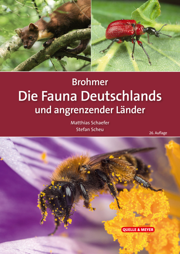 Brohmer - Die Fauna Deutschlands und angrenzender Länder main product photo