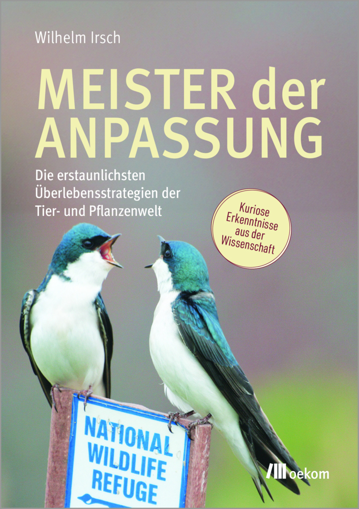 Meister der Anpassung main product photo