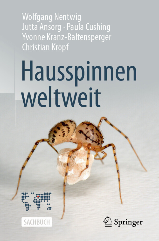 Hausspinnen weltweit main product photo