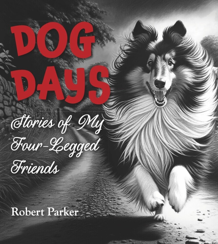 Dog Days main product photo