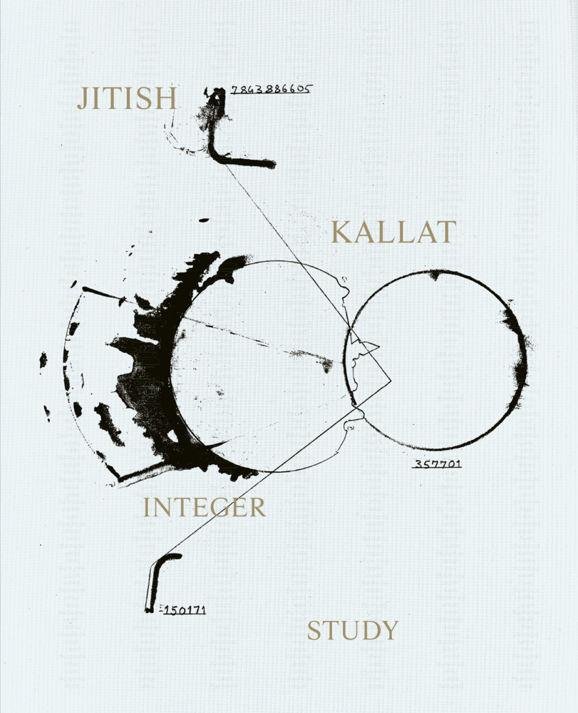 Jitish Kallat. Integer Study main product photo