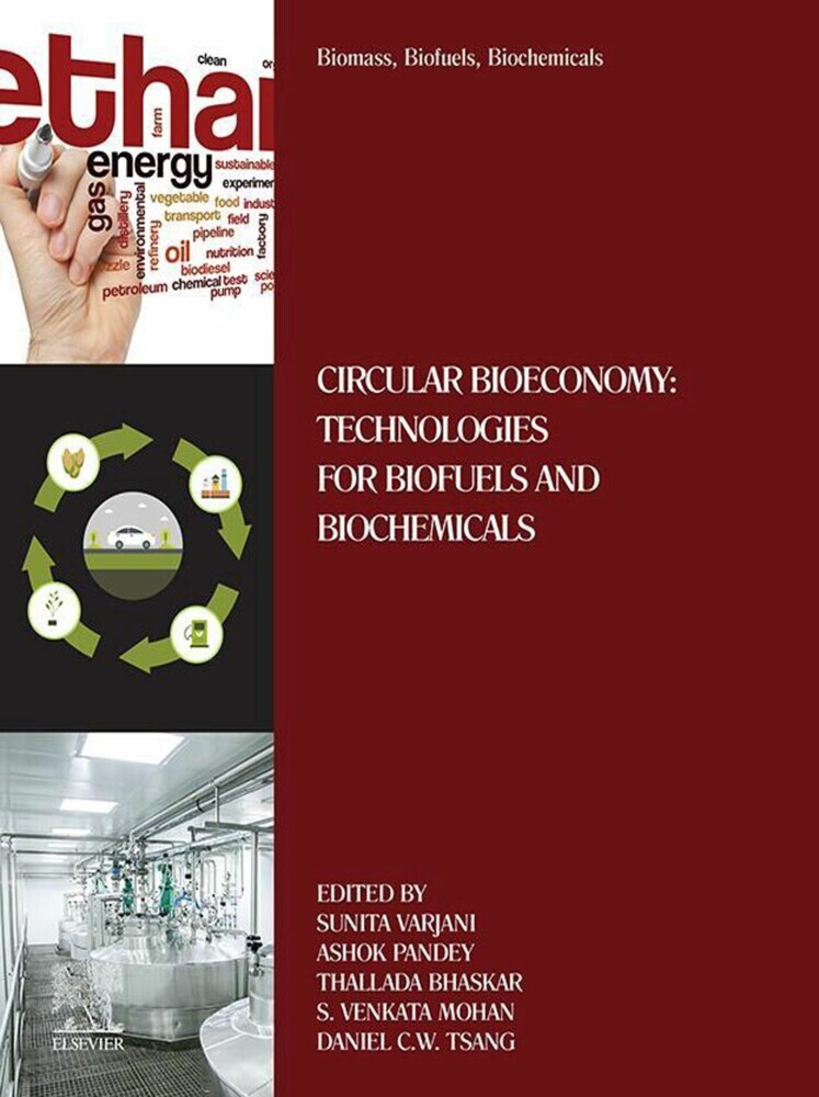 Biomass, Biofuels, Biochemicals main product photo