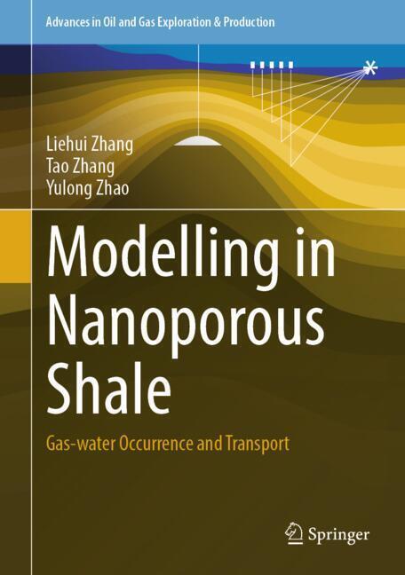 Modelling in Nanoporous Shale main product photo