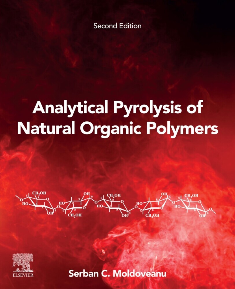Analytical Pyrolysis of Natural Organic Polymers main product photo