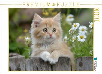 CALVENDO Puzzle Roter Kater im Garten | 1000 Teile Lege-Größ...