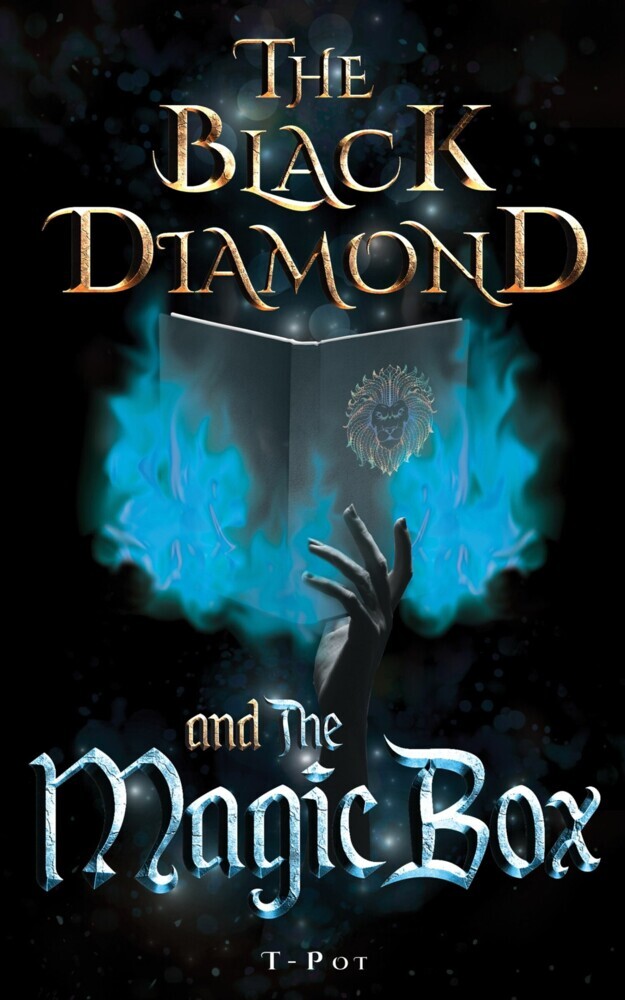 The Black Diamond and the Magic Box main product photo