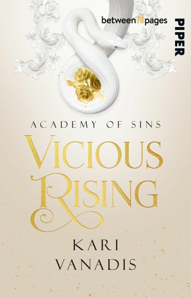 Vicious Rising: Academy of Sins main product photo