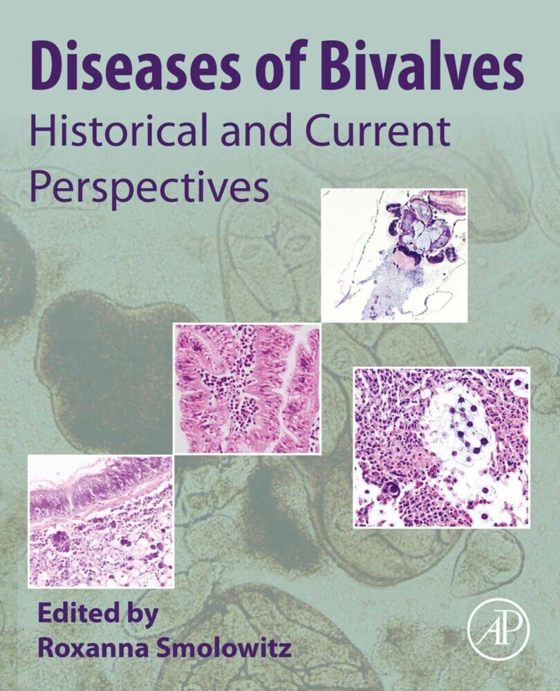Diseases of Bivalves main product photo