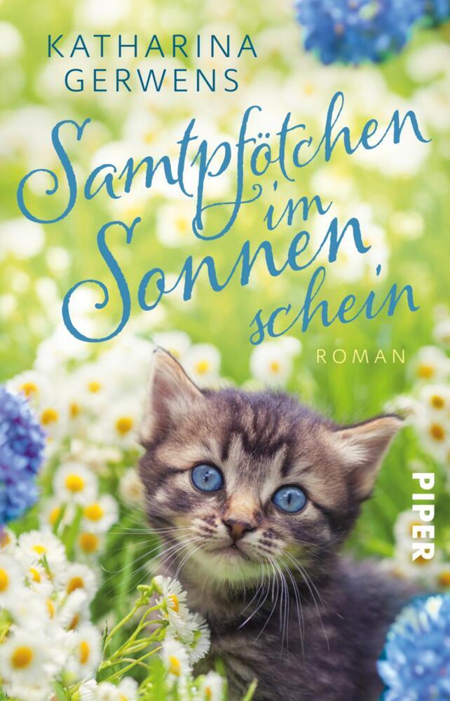 Samtpfötchen im Sonnenschein main product photo