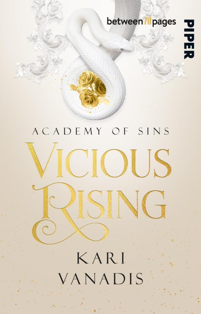 Vicious Rising: Academy of Sins main product photo