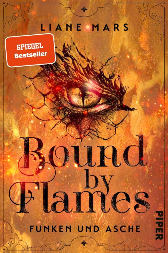 Bound by Flames main product photo