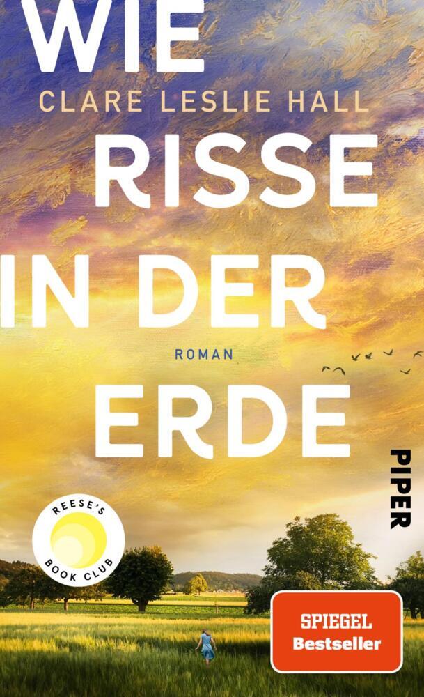 Wie Risse in der Erde main product photo